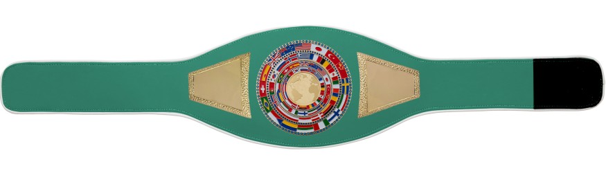 WORLD CHAMPION PROFLAG2/FLAG/G/BIGWG - VARIETY OF LEATHER COLOURS AVAILABLE WORLD CHAMPION PROFLAG2/FLAG/G/BIGWG - VARIETY OF LEATHER COLOURS AVAILABLE